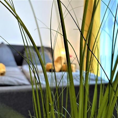 Gemuetliches Studio Im Bayerwald +Pool +Sauna +Wifi 즈위젤 외부 사진