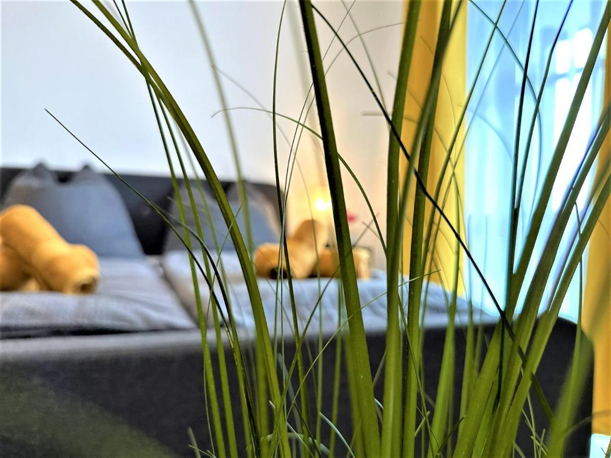 Gemuetliches Studio Im Bayerwald +Pool +Sauna +Wifi 즈위젤 외부 사진